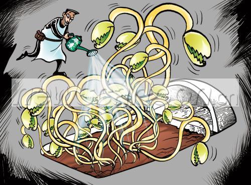 Identification of poisonous bean sprouts