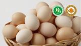 Prices fell after the holiday and eggs dropped to 4 yuan/kg