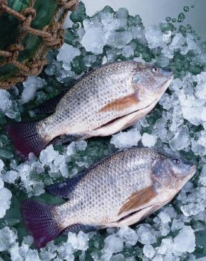 The important manifestation of food preservation promotes the rise of cold chain logistics