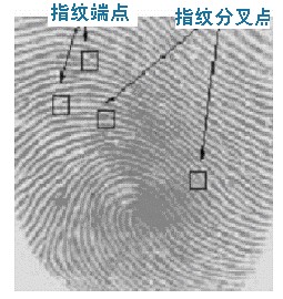 Fingerprinting applications everywhere