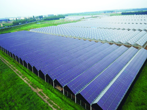 Photovoltaic agricultural shed projects are promising