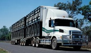 Domestic truck company sales are not low profit margin