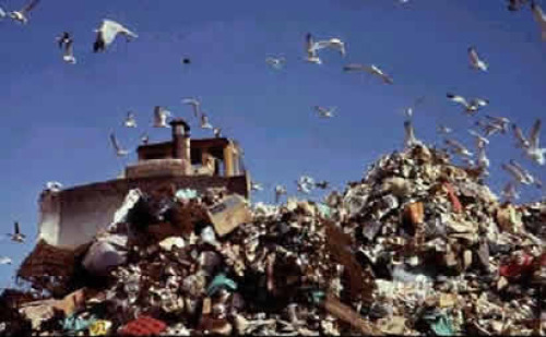 Solid waste treatment accelerates development