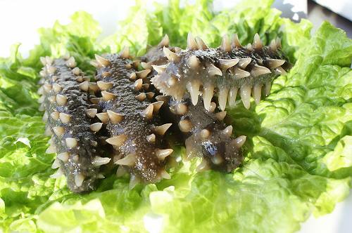 The average price of sea cucumber in Shandong Province fell by 30% in September