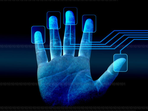 Fingerprint recognition market is robbed of domestic ICs