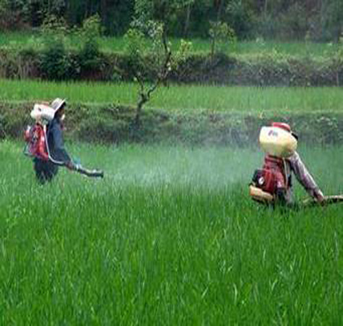 Six measures for the healthy development of China's pesticide industry