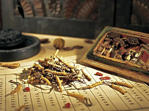 The first three quarters of production and sales of proprietary Chinese medicines are promising