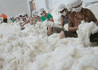 Look at the cotton market in each country