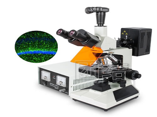 Application of fluorescence microscope