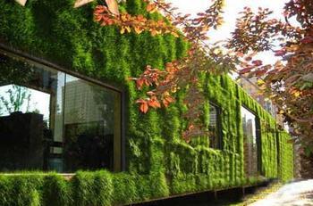 Green building starts from "face"