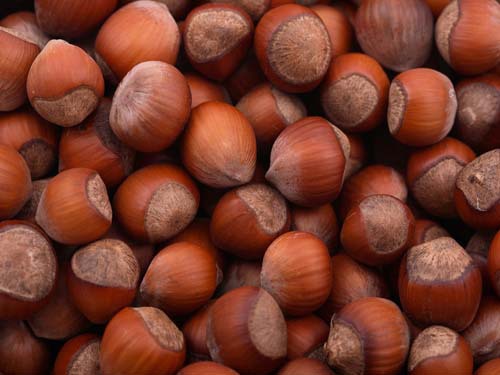 The Gyeonggi region is not optimistic about Japanese fresh chestnut exports