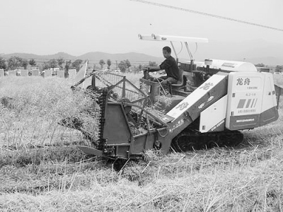 China's rape mechanization needs to grasp the key links