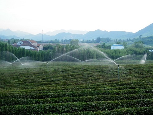 See how foreign countries promote water saving in agriculture