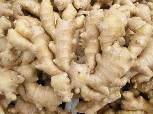 "Ginger" sequela pushes up ginger prices