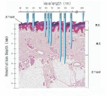 Talking about the Application of LED in Dermatology