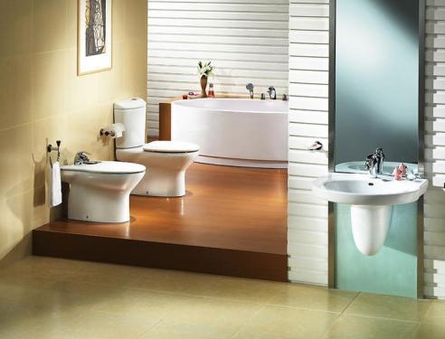 Bathroom industry or emergence of oligopoly