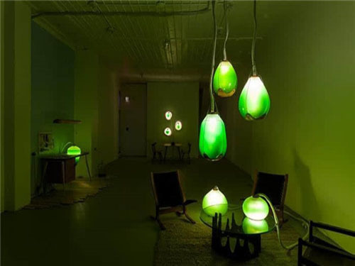 Cool seaweed is LED bulb and food