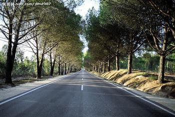 Xinjiang Rural Highway Township Passes 99.8%