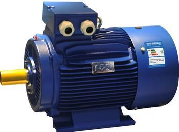 High-efficiency motor receives central government subsidy funds