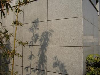Several aspects of regularly maintained stone walls