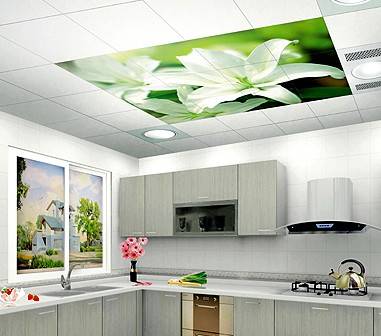 Integrated ceiling corporate marketing focuses on customization