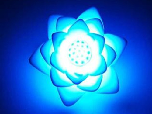 The world's highest LED Lotus ball landing