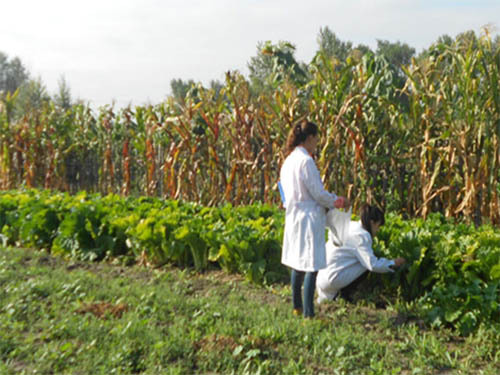 The initial inspection of agricultural product quality safety inspection system