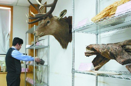 Chinese medicine specimens help identify counterfeiting