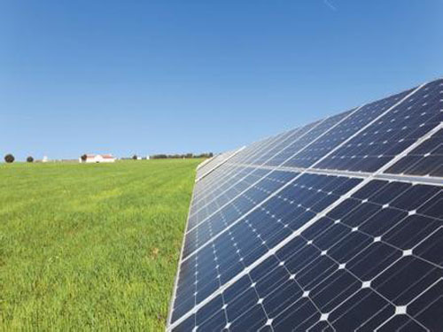 Prosperous photovoltaic agriculture