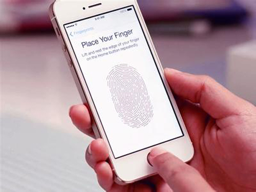 Fingerprint recognition chip business opportunities surge