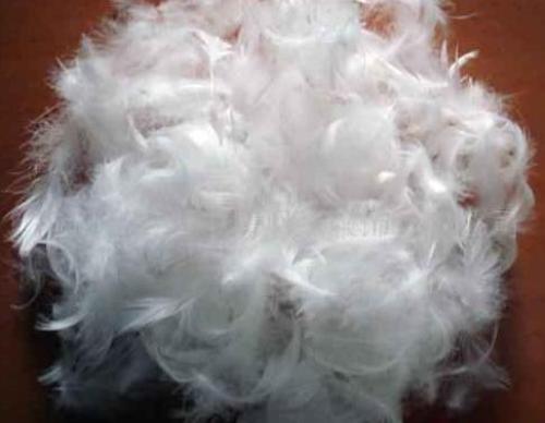 Canada: limit the flammability of feather consumer products