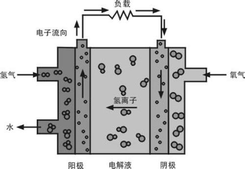 Popular fuel cell costs too high