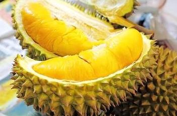 The nutritional value of durian