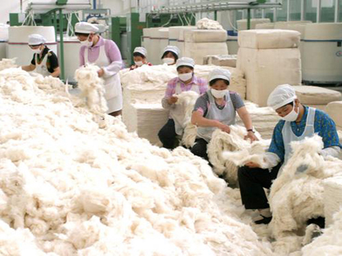 Woolen dragon rises, once again force - February market of wool