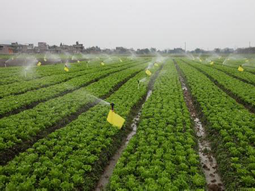 Promoting the integration of water and fertilizer depends on the agrochemical service team