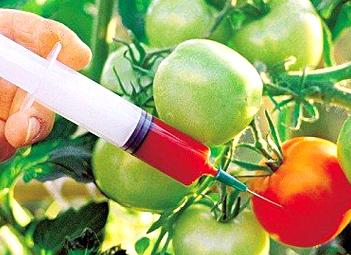 EU plans to tighten policy on genetically modified foods