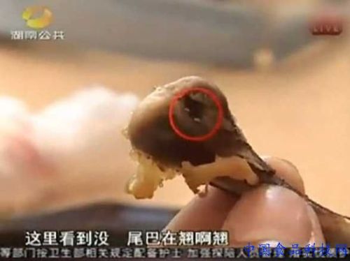 Changsha McDonald's chicken wings to eat live crickets official statement said it was impossible