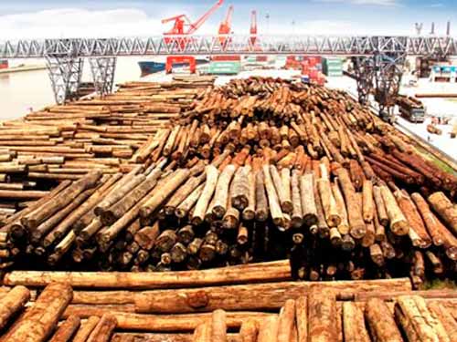 Wood market prices will be in a narrow range of shocks