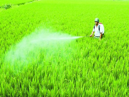 Pesticide Industry Faces Great Adjustment