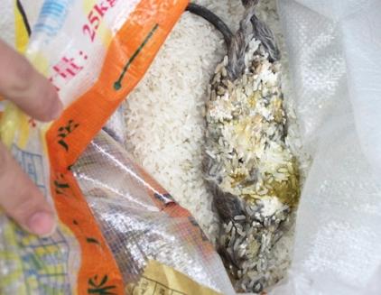 Yonghui supermarket with rice bag scared dead mice