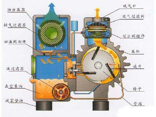 Oil Seal Vacuum Pump Working Principle