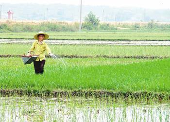 Fujian Province Fertilizer Quality Sampling Rate 92%