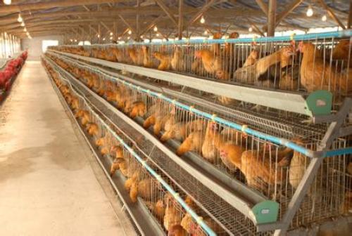 Regulations on the Prevention and Control of Farm Animals and Poultry Farming Pollution