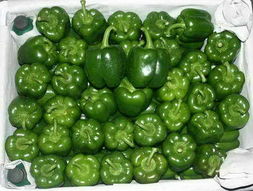 The benefits of green pepper