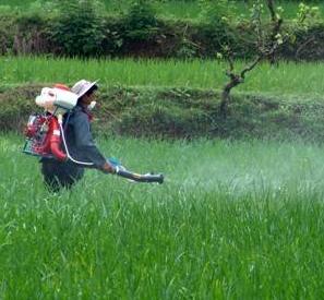 Hunan Fertilizer Demand Drops by 10%