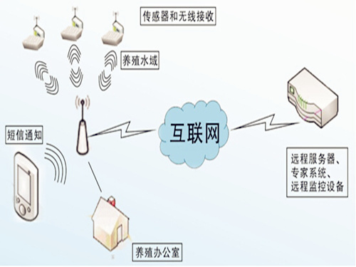 The Internet of Things Aquaculture Surveillance System Promotes the Standardization of the Aquaculture Industry