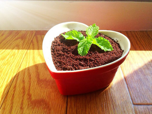 Yogurt made into potted soil Do you dare to eat it?