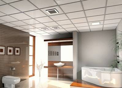 Integrated ceiling companies should look far