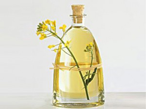 Rapeseed Oil Tradition, Improvement and Transgenic