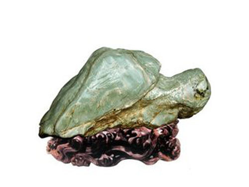 It is difficult to measure the value of a natural giant jade turtle